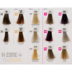 Teinture cheveux H-Zone