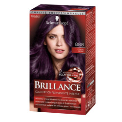 Coloration Brillance 888-...