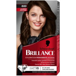 Coloration Brillance 880-...